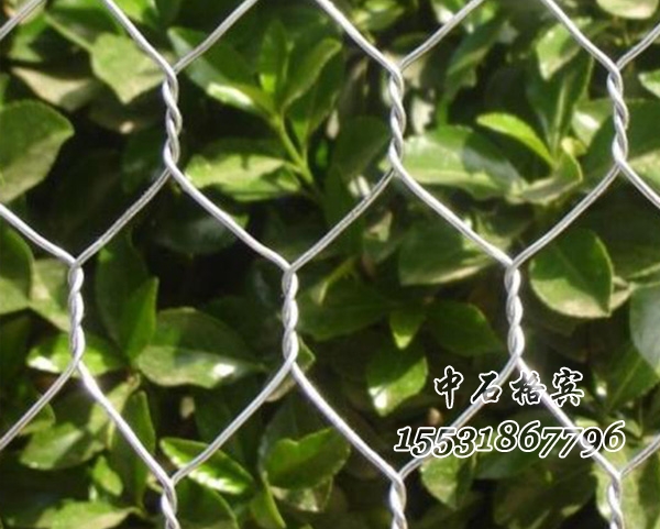 鍍鋅格賓網 鍍鋅格賓網