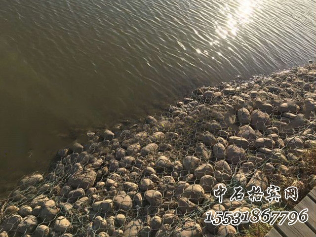 賓格網.jpg 賓格網.jpg