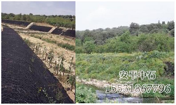 加筋麥克墊護坡 加筋麥克墊護坡